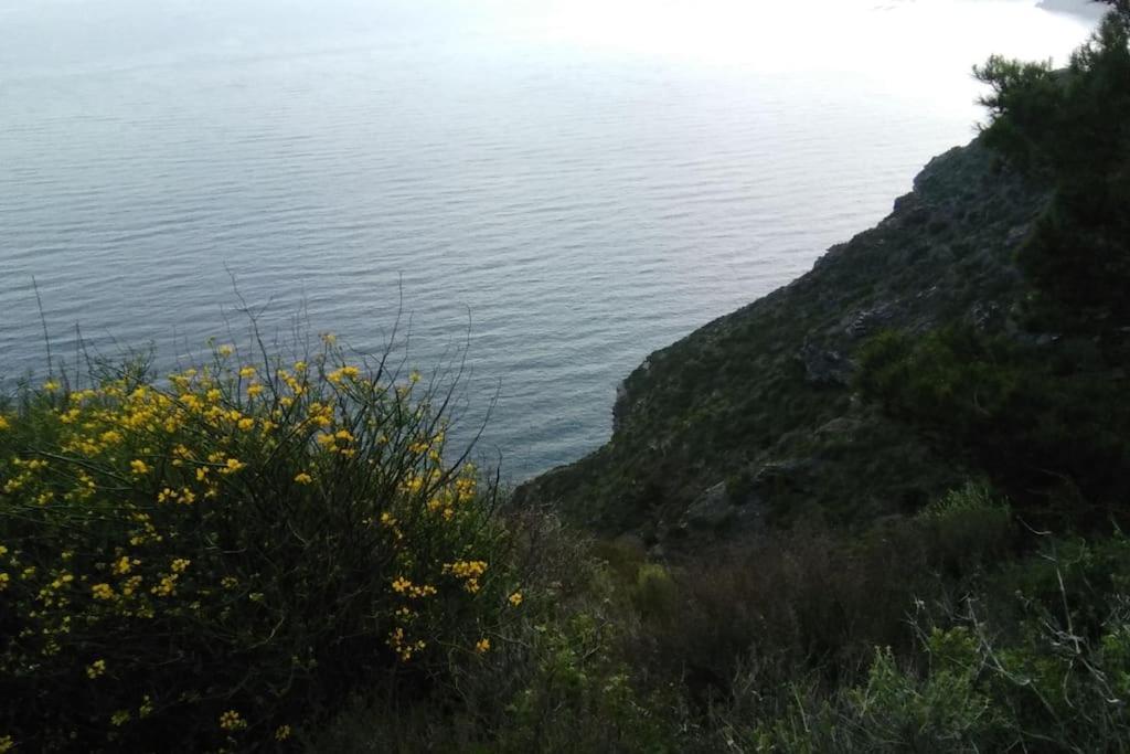 Nice Apartment On The Coast To Relax And Work Картахена Екстериор снимка
